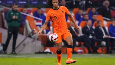 Top 5 cầu thủ chủ chốt của Hà Lan tại Euro 2024